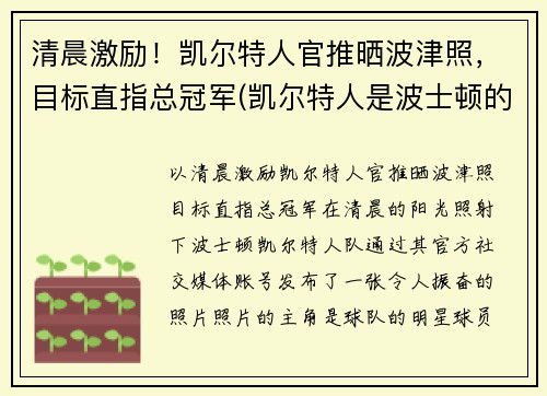 清晨激励！凯尔特人官推晒波津照，目标直指总冠军(凯尔特人是波士顿的吗)