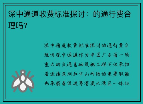 深中通道收费标准探讨：的通行费合理吗？