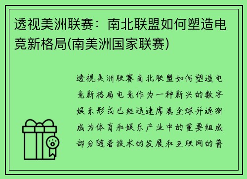 透视美洲联赛：南北联盟如何塑造电竞新格局(南美洲国家联赛)